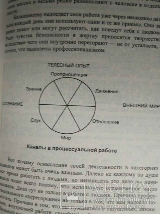 Минделл А., Минделл Э. Вскачь задом наперед, фото №8