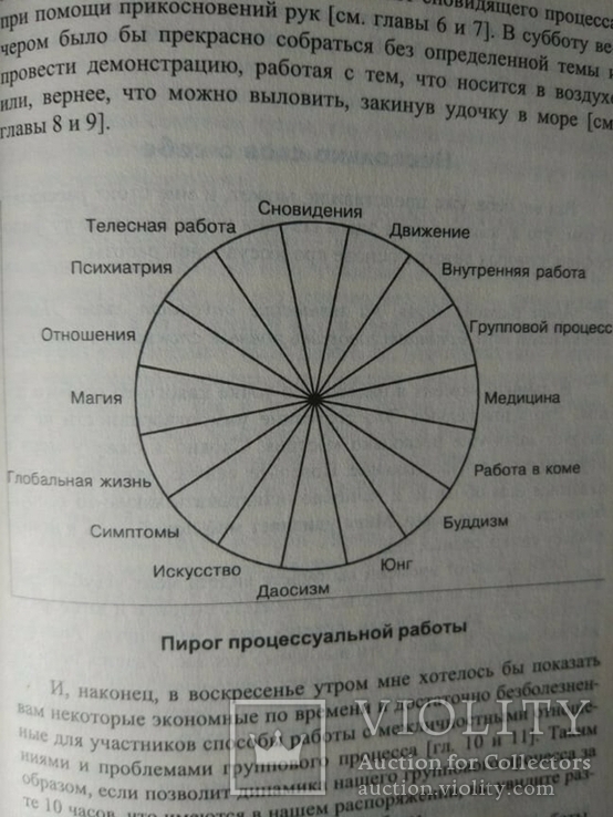 Минделл А., Минделл Э. Вскачь задом наперед, фото №11