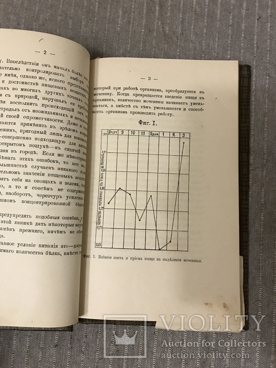 Кулинария для спортсменов 1908 Киевская книга, фото №6