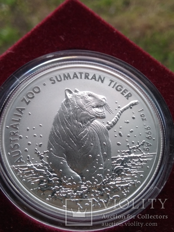 Тигр Суматры Суматранский тигр . Австралия 2020 год . 1 доллар. Первая в серии, фото №3