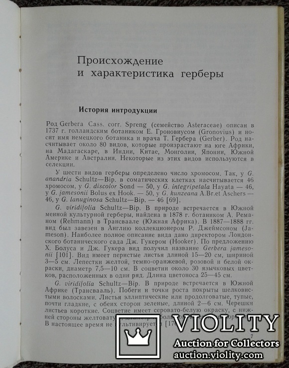 Гербера в Латвии.(Интродукция, селекция, экология)., фото №4