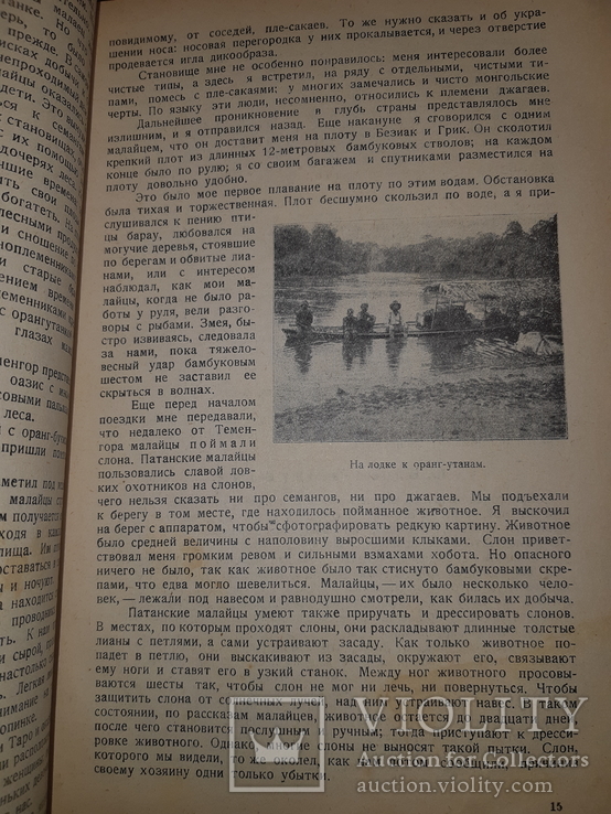 1928 Среди карликов Малакки, фото №9