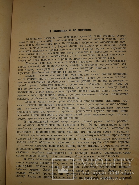 1928 Среди карликов Малакки, фото №10