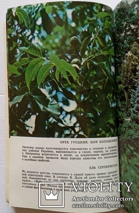 Растения против микробов (изд. 1987 года)., фото №8