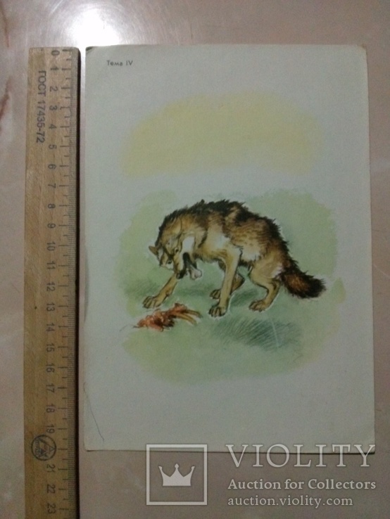 Картинка "Волк и аист" (№3)