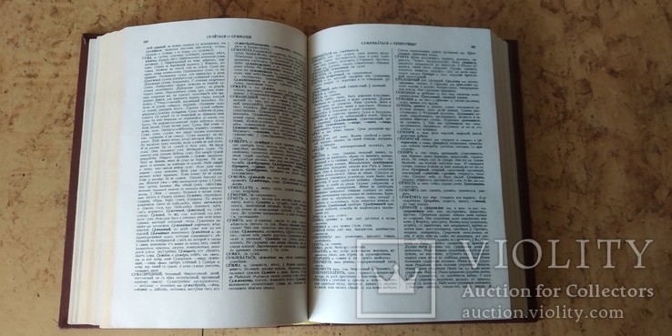Толковый словарь великорускаго языка Живаго В.Даля, фото №6