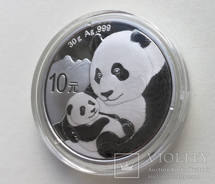 Панда Китай Chinese Panda 2019 cеребро, фото №5