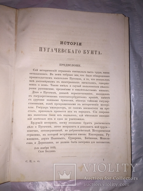 Томик Пушкина 1882 г., научное наследие, фото №6
