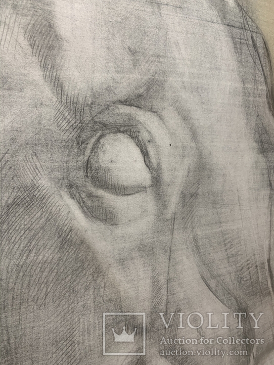 Картина. Голова скульптуры лошади. Пастель, карандаш, ватман. Размер 96*72 см, фото №3