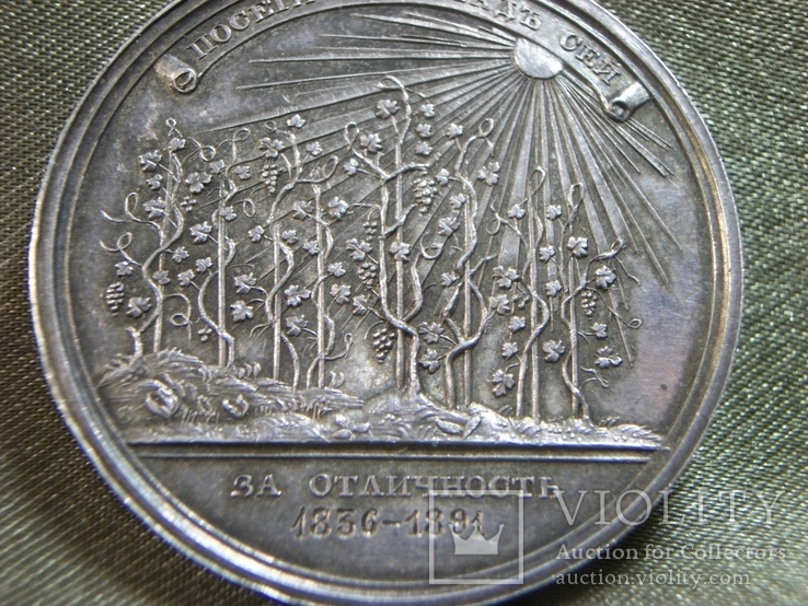 Серебряная медаль "За отличие" за успехи в науках. Портрет Николай 1. Серебро, фото №9