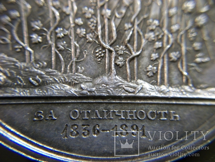 Серебряная медаль "За отличие" за успехи в науках. Портрет Николай 1. Серебро, фото №10