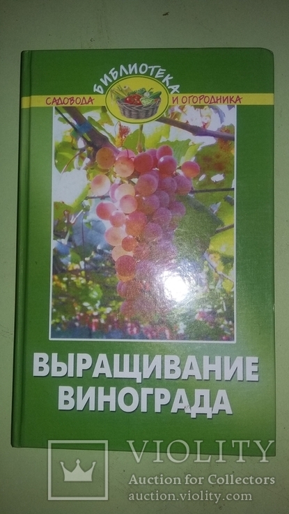 Выращивание винограда