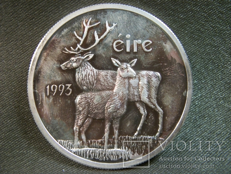 РБ41 Ирландия 1 экю 1993 год, серебро 999 пр, вес 19,7 гр. Диаметр 4 см, фото №3