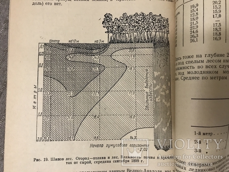 Влияние Леса на изменение среды 1950, фото №2