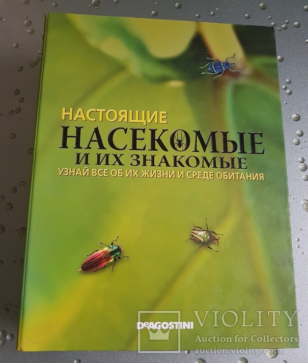 Насекомые и их знакомые с коллекцией насекомых в оргстекле