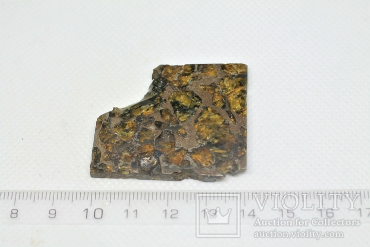 Залізо-кам'яний метеорит Brahin, 22,5 грами, сертифікат автентичності, фото №4