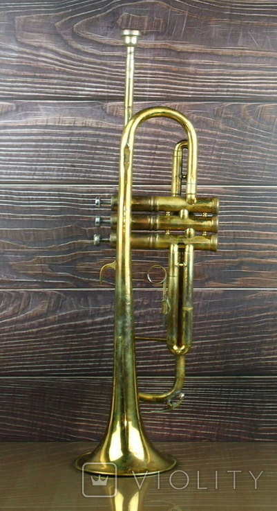 Музична труба PARROT China, фото №6