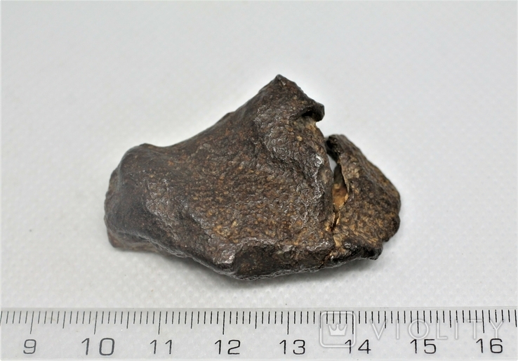 Залізний метеорит Gebel Kamil 70,6 г з сертифікатом автентичності, фото №4