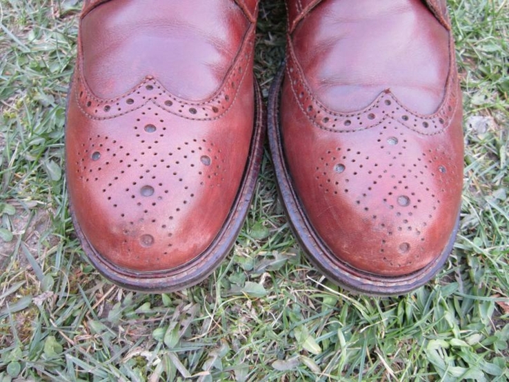 Ботинки кожаные ecco роз. 43 (оригинал), фото №5