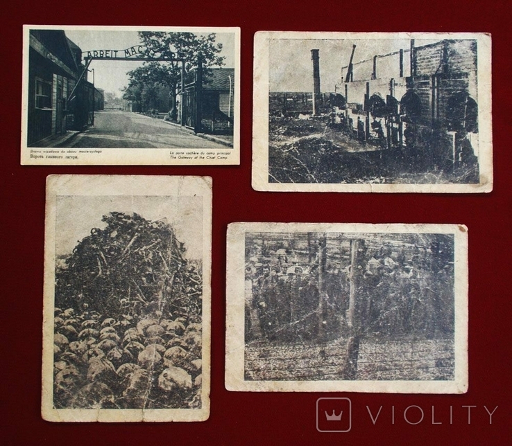 Фото открытки 4 шт немецкие концлагеря 1940-е Польша Освенцим Майданек, фото №2