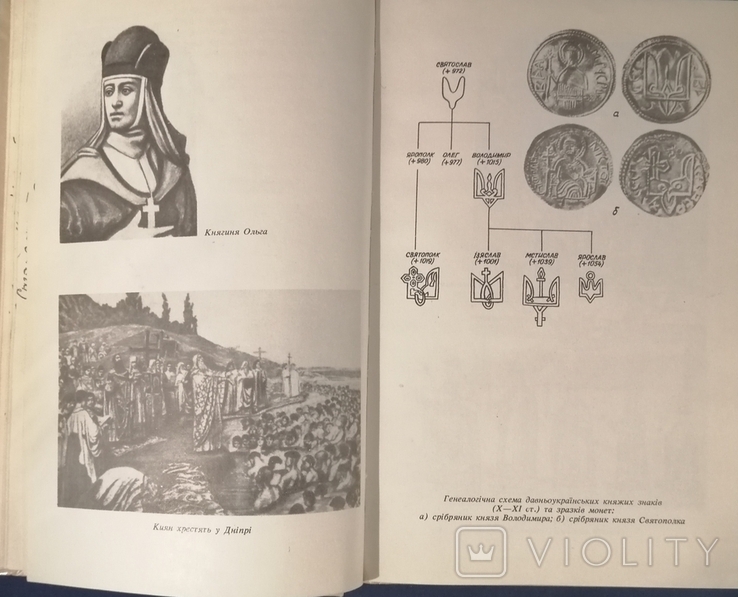 Нарис історії України. Аркадій Жуковський, Орест Субтельний., фото №6