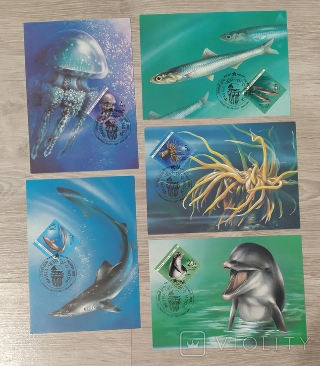 Почтовые марки СССР " Фауна черного моря"
