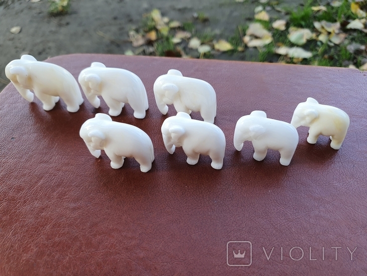 7 Слонов Фото