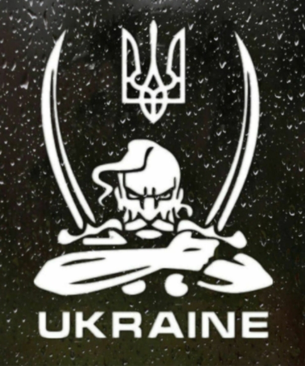 Наклейка на авто Козак- Ukraine (белая) (1123)