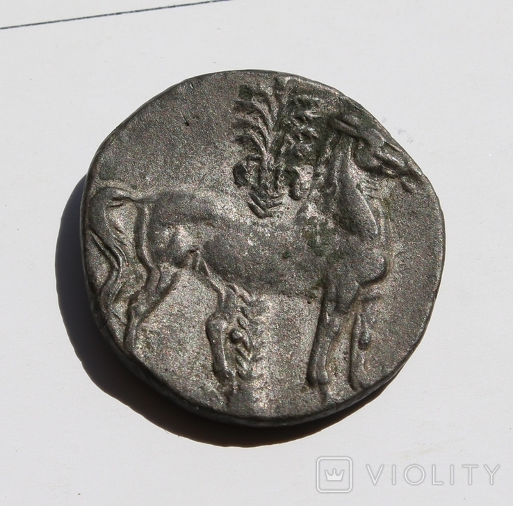 Двойной шекель . Зевгитана, Карфаген, 210-201 годы до Р.Х.,, фото №2