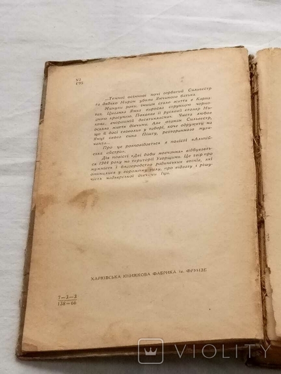 П. Гуріненко. Альпійська айстра, фото №7