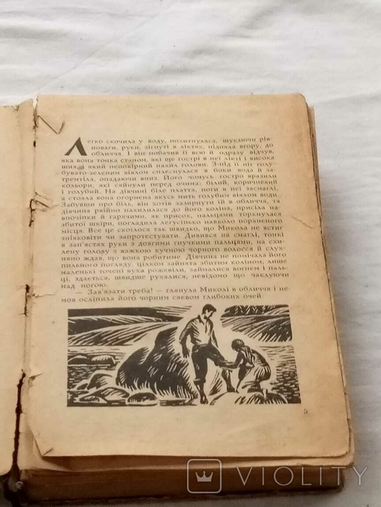 П. Гуріненко. Альпійська айстра, фото №13