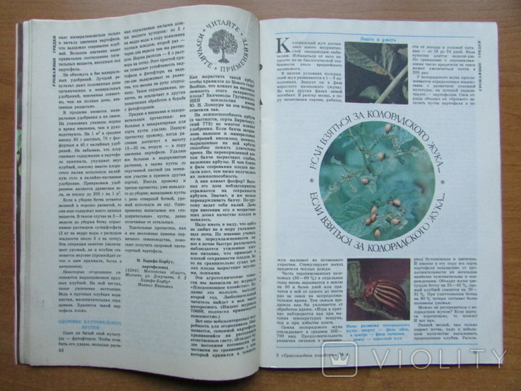 Журнал "Приусадебное хозяйство", №4 за 1986 г. Москва: Агропромиздат, 80 с., фото №5