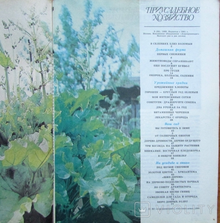 Журнал "Приусадебное хозяйство", №5 за 1986 г. Москва: Агропромиздат, 80 с., фото №3