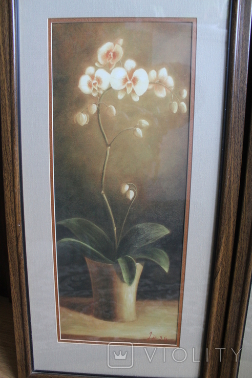 Картины Орхидеи, фото №4