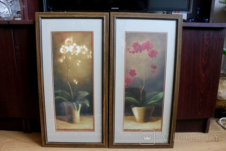 Картины Орхидеи, фото №2