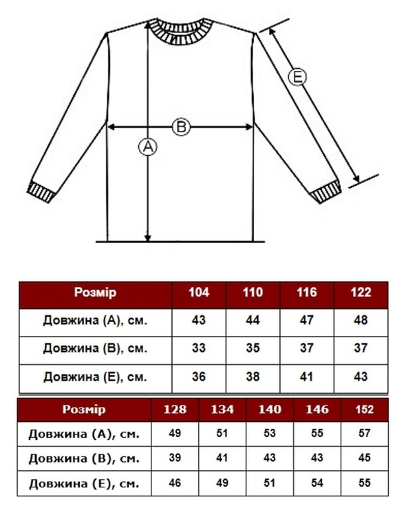 Світшот для хлопчика з вишивкою (243), фото №7