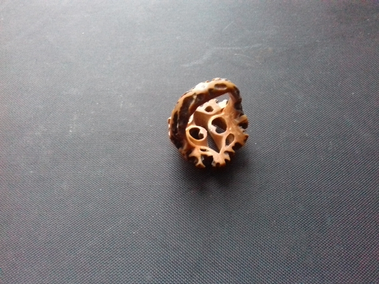 Кольцо из дерева (маньчжурский орех), фото №6