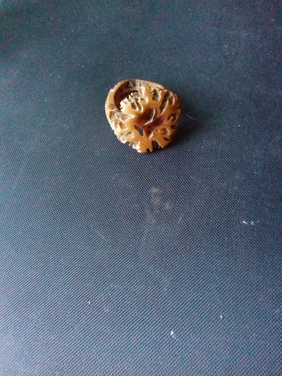 Кольцо из дерева (маньчжурский орех), фото №4