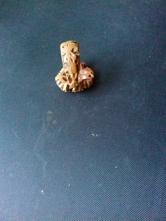 Кольцо из дерева (маньчжурский орех), фото №8