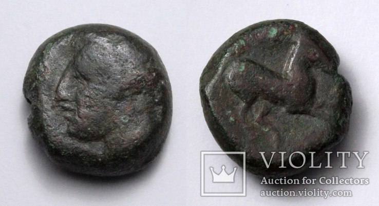 Карфаген, 400-350 до н.е. – Таніт / кінь, фото №2