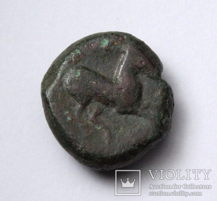 Карфаген, 400-350 до н.е. – Таніт / кінь, фото №4