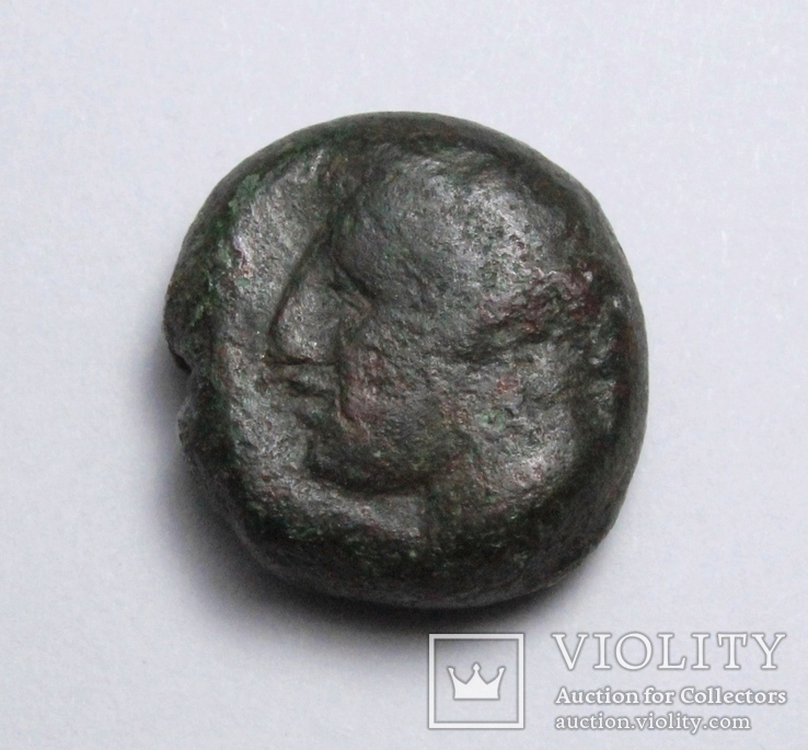 Карфаген, 400-350 до н.е. – Таніт / кінь, фото №5