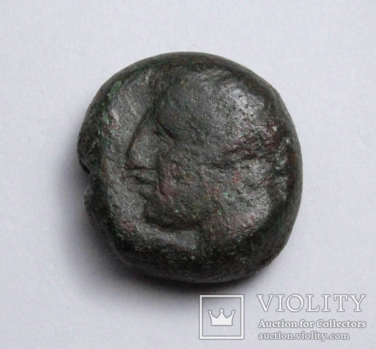 Карфаген, 400-350 до н.е. – Таніт / кінь, фото №8