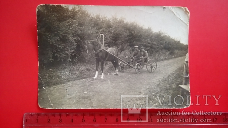 1938 год Ветеринарный врач объезжает поля в совхозе Птицетреста, фото №2