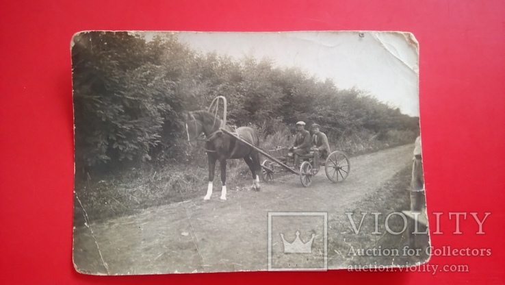 1938 год Ветеринарный врач объезжает поля в совхозе Птицетреста, фото №5