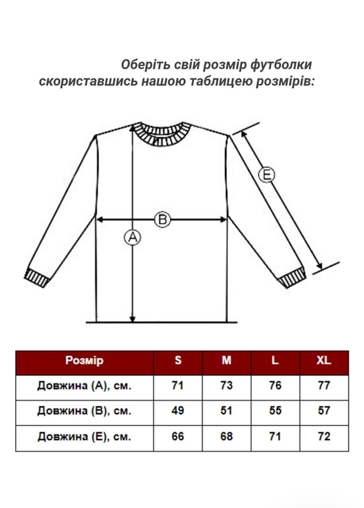 Чоловічий світшот "Мої стихії" (592), фото №6