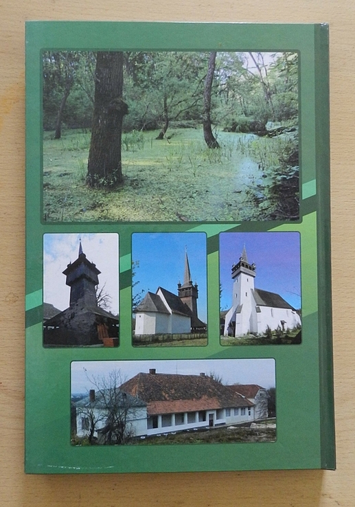 Архітектурні, історичні та природні цінності Берегівщини, фото №4