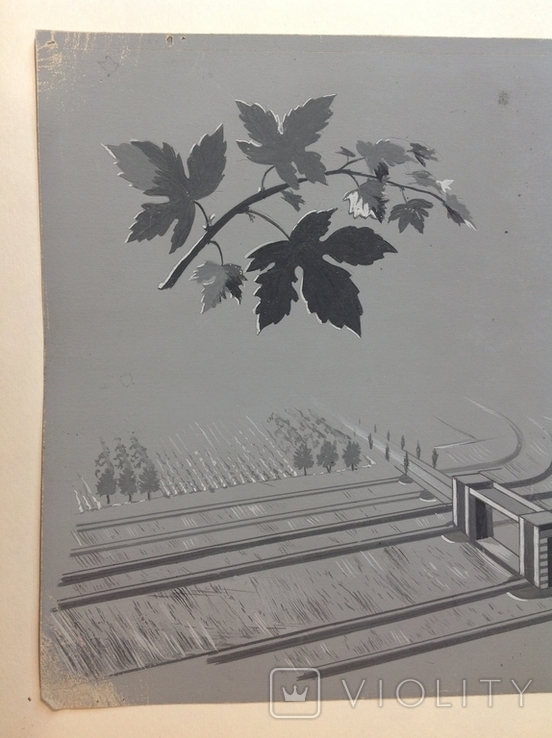 1964  Пейзаж. Орошение. Барчук И.И. 21,5х29, фото №6