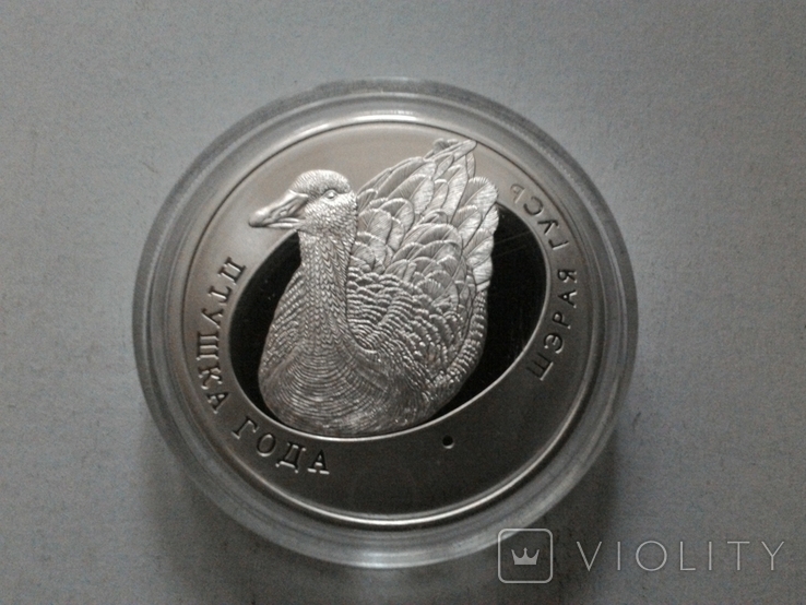 Беларусь 10 рублей 2009 (Птица года. Серый гусь) / серебро, фото №2
