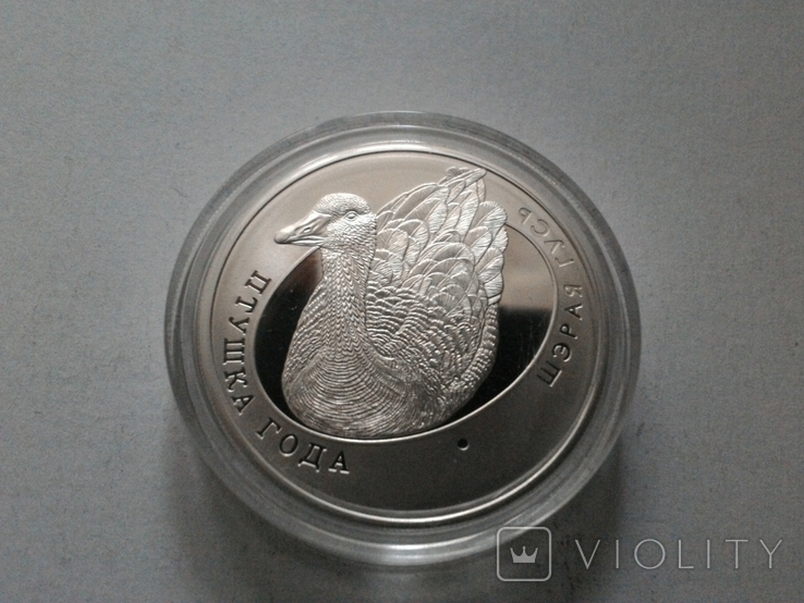 Беларусь 10 рублей 2009 (Птица года. Серый гусь) / серебро, фото №3